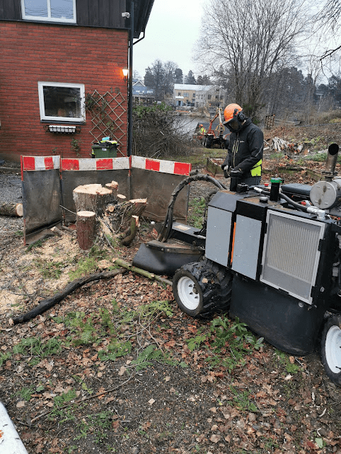 Stubbfräsning med professionell maskin vid bostadshus i Täby